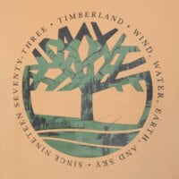 T-shirt, koszulka męska TIMBERLAND T-SHIRT TREE LOGO LAKE HOUSE GRAPHIC TEE tb0a5mvreh31 kolor niebieski