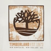 T-shirt, koszulka męska TIMBERLAND T-SHIRT STACK LOGO GRAPHIC SS TEE tbc0yhagcm91 kolor biały