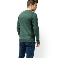 Bluza męska TIMBERLAND BLUZA BRUSHBACK VINTAGE GRAPHIC CREW a1mhwe20 kolor zielony