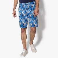 Szorty, spodenki męskie TIMBERLAND SZORTY SQUAM LAKE AOP CHINO SHORT a1l5gj41 kolor multicolor