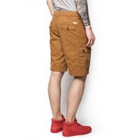 Szorty, spodenki męskie TIMBERLAND SZORTY CASPIAN  LAKE SHORT a1egr932 kolor brązowy