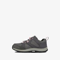 Dziecięce buty zimowe TIMBERLAND NEPTUNE PARK LOW GTX WL tb0a224v0331 kolor szary