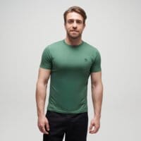 T-shirt, koszulka męska TIMBERLAND T-SHIRT CHEST LOGO SS TEE SLIM tb0a2br3a6z1 kolor zielony