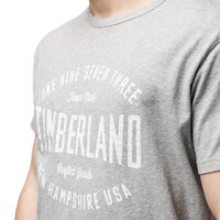 T-shirt, koszulka męska TIMBERLAND T-SHIRT SS TFO ECLECTIC GRAPHIC TEE tb0a1o2k0521 kolor szary