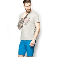 T-shirt, koszulka męska TIMBERLAND T-SHIRT MOUNTAIN a1erg052 kolor szary