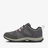 Buty outdoor dziecięce TIMBERLAND NEPTUNE PARK LOW GTX WL tb0a223x0331 kolor szary