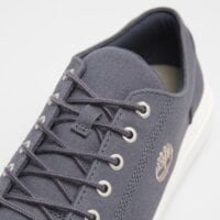Sneakersy męskie TIMBERLAND SENECA BAY LOW LACE SNEAKER tb0a66nnep41 kolor niebieski