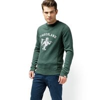 Bluza męska TIMBERLAND BLUZA BRUSHBACK VINTAGE GRAPHIC CREW a1mhwe20 kolor zielony