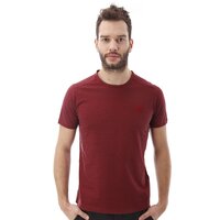 T-shirt, koszulka męska TIMBERLAND T-SHIRT MIINI STRIP TEE 4703j613 kolor bordowy