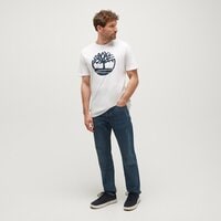 T-shirt, koszulka męska TIMBERLAND T-SHIRT TREE LOGO SHORT SLEEVE TEE tb0a2c2r1001 kolor biały