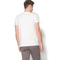 T-shirt, koszulka męska TIMBERLAND T-SHIRT SS KENNE BEC RIVER a1irz130 kolor biały