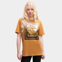 T-shirt, koszulka męska TIMBERLAND T-SHIRT SS OUTDOOR INSPIRED GRAPHIC TEE tb0a6f4kp471 kolor brązowy
