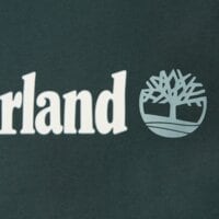 T-shirt, koszulka męska TIMBERLAND T-SHIRT KENNEBEC RIVER LINEAR LOGO TEE tb0a5upq3171 kolor zielony