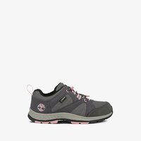 Dziecięce buty zimowe TIMBERLAND NEPTUNE PARK LOW GTX WL tb0a224v0331 kolor szary