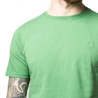 T-shirt, koszulka męska TIMBERLAND T-SHIRT SS DUNSTAN RV SALTSCRUB a181va26 kolor zielony