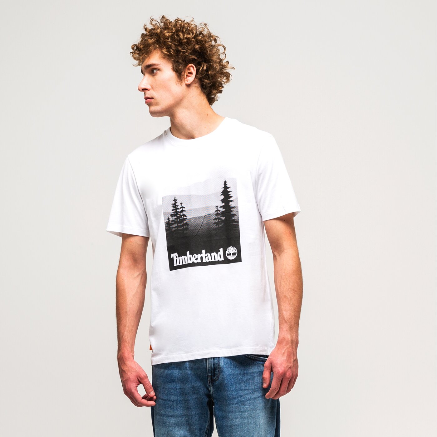 TIMBERLAND TSHIRT TFO CC SS PHOTOGRAPHIC PRINT CREW TB0A5R2C1001