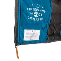 Kurtka zimowa męska TIMBERLAND KURTKA BEAR HEAD a1qv6028 kolor szary