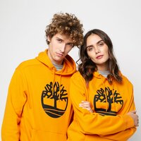 Bluza męska TIMBERLAND BLUZA Z KAPTUREM YC CORE TREE LOGO LOGO PULL OVER tb0a2bjhar81 kolor musztardowy