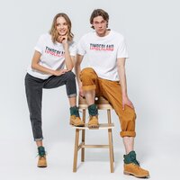 T-shirt, koszulka męska TIMBERLAND T-SHIRT LINEAR LOGO TWO TECHNIQUES CREW TEE REGUL tb0a2fns1001 kolor biały