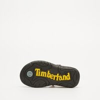 Sandały dziecięce TIMBERLAND ADVENTURE SEEKER tb0a6c1hebb1 kolor multicolor