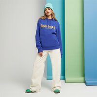 Bluza męska TIMBERLAND BLUZA Z KAPTUREM LS 50TH ANNIVERSARY EST. 1973 tb0a6s5wed51 kolor niebieski