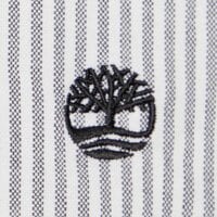 Koszula męska TIMBERLAND KOSZULA LAKE WARNER STRIPED OXFORD tbc0yh8bakv1 kolor szary