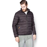 Kurtka przejściowa męska (wiosenna i jesienna) TIMBERLAND KURTKA BEAR HEAD a1ash001 kolor czarny