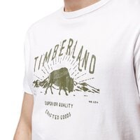 T-shirt, koszulka męska TIMBERLAND T-SHIRT SS TFO ECLECTIC GRAPHIC TEE tb0a1o2k1001 kolor biały