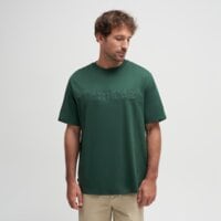 T-shirt, koszulka męska TIMBERLAND T-SHIRT SHORT SLEEVE TEE tb0a6vpea6x1 kolor zielony