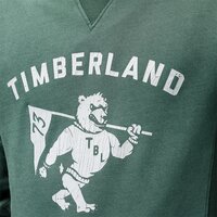 Bluza męska TIMBERLAND BLUZA BRUSHBACK VINTAGE GRAPHIC CREW a1mhwe20 kolor zielony