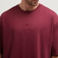 T-shirt, koszulka męska TIMBERLAND T-SHIRT HAMPTHON TONAL STACK LOGO TEE tb0a5mnt6481 kolor bordowy