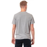 T-shirt, koszulka męska TIMBERLAND T-SHIRT SS BRAND CARRIER TREE TEE 6729j052 kolor szary