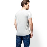 T-shirt, koszulka męska TIMBERLAND T-SHIRT MOUNTAIN GRAPHIC TEE a1mpf052 kolor szary