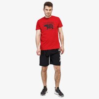 T-shirt, koszulka męska TIMBERLAND T-SHIRT WHITEFACE RIVER VINTAGE tb0a1ocxr091 kolor czerwony