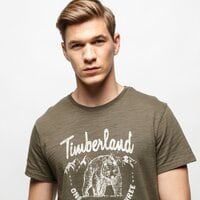 T-shirt, koszulka męska TIMBERLAND T-SHIRT SS SS BEAR FAMILY tb0a1ysxa581 kolor zielony