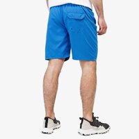 Szorty, spodenki męskie TIMBERLAND SZORTY SUNAPEE LAKE LOGO SWIMSHORT tb0a1obof421 kolor szary