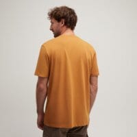 T-shirt, koszulka męska TIMBERLAND T-SHIRT LOGO GRAPHIC SHORT SLEEVE TEE tb0a43ybp471 kolor musztardowy