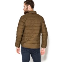 Kurtka przejściowa męska (wiosenna i jesienna) TIMBERLAND KURTKA BEAR HEAD a1ash302 kolor brązowy