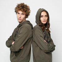 Bluza męska TIMBERLAND BLUZA Z KAPTUREM YC CORE TREE LOGO PULL OVER HOOD tb0a2bjhz281 kolor khaki