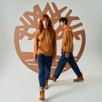 Bluza męska TIMBERLAND BLUZA Z KAPTUREM HAMPTHON HOODIE tb0a6vfjp471 kolor żółty