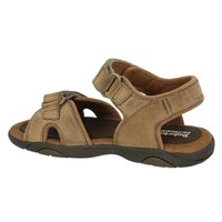 Sandały dziecięce TIMBERLAND EK RYE HARBOR 2 STRAP LTR SANDAL 7975r kolor beżowy