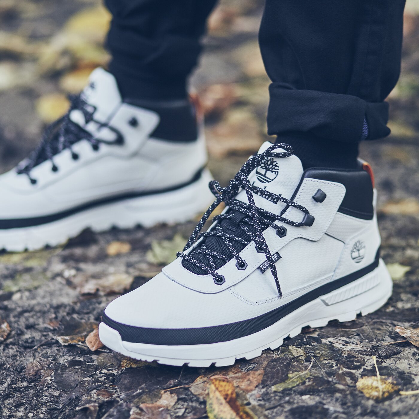 timberland field trekker