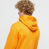 Bluza męska TIMBERLAND BLUZA Z KAPTUREM YC CORE TREE LOGO LOGO PULL OVER tb0a2bjhar81 kolor musztardowy