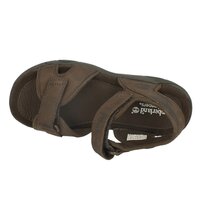 Sandały dziecięce TIMBERLAND EK RYE HARBOR 2 STRAP LTR SANDAL 7974r kolor brązowy