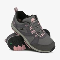 Buty outdoor dziecięce TIMBERLAND NEPTUNE PARK LOW GTX WL tb0a223x0331 kolor szary