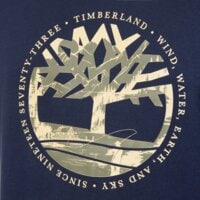 T-shirt, koszulka męska TIMBERLAND T-SHIRT TREE LOGO LAKE HOUSE GRAPHIC TEE tb0a5mvr4511 kolor szary