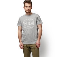 T-shirt, koszulka męska TIMBERLAND T-SHIRT SS TFO ECLECTIC GRAPHIC TEE tb0a1o2k0521 kolor szary
