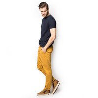 Spodnie męskie TIMBERLAND SPODNIE SARGEN LAKE TWILL CHINO a17coa5932 kolor żółty