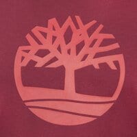 T-shirt, koszulka męska TIMBERLAND T-SHIRT KENNEBEC RIVER TEE tb0a2c2r6481 kolor bordowy