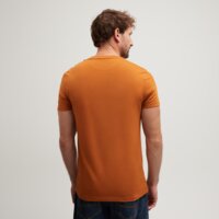 T-shirt, koszulka męska TIMBERLAND T-SHIRT DUNSTAN RIVER SHORT SLEEVE TEE tb0a2bprc391 kolor pomarańczowy